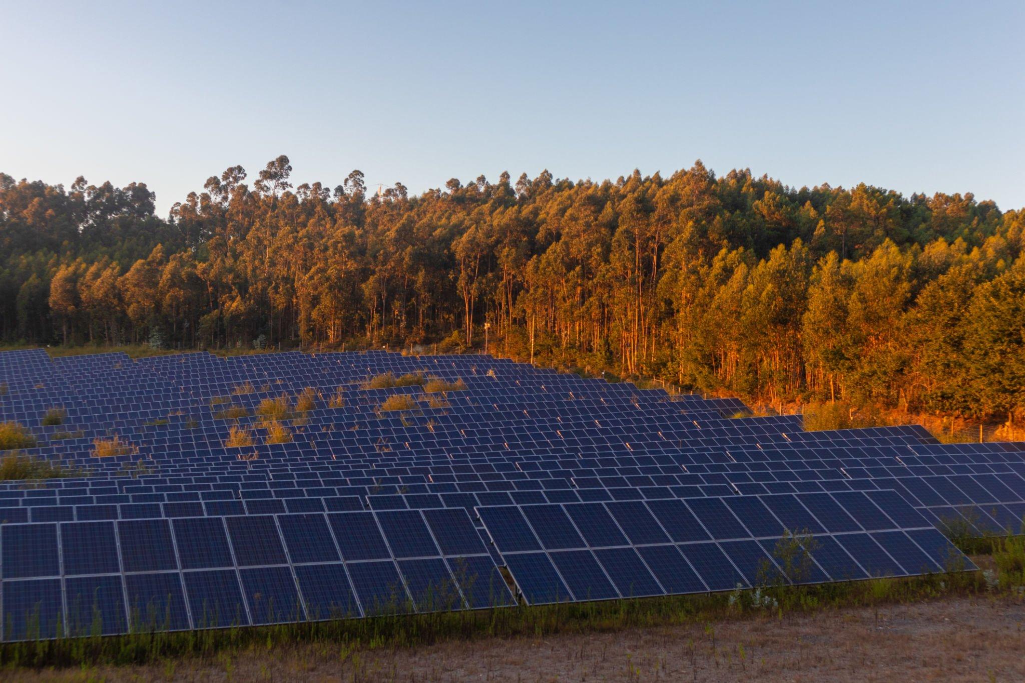 Parcs photovoltaïque surfaces non exploitées