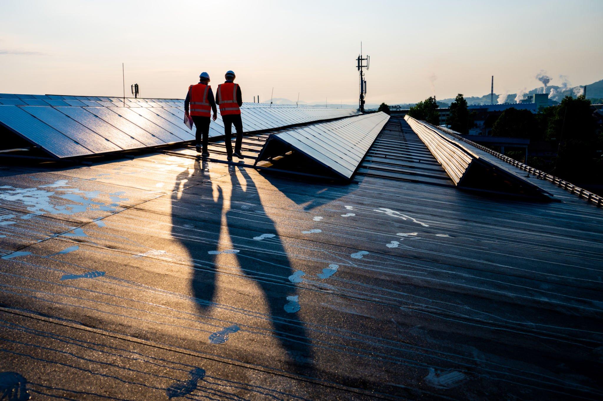 Coegy PRO - Caractéristiques des panneaux solaires polycristallins