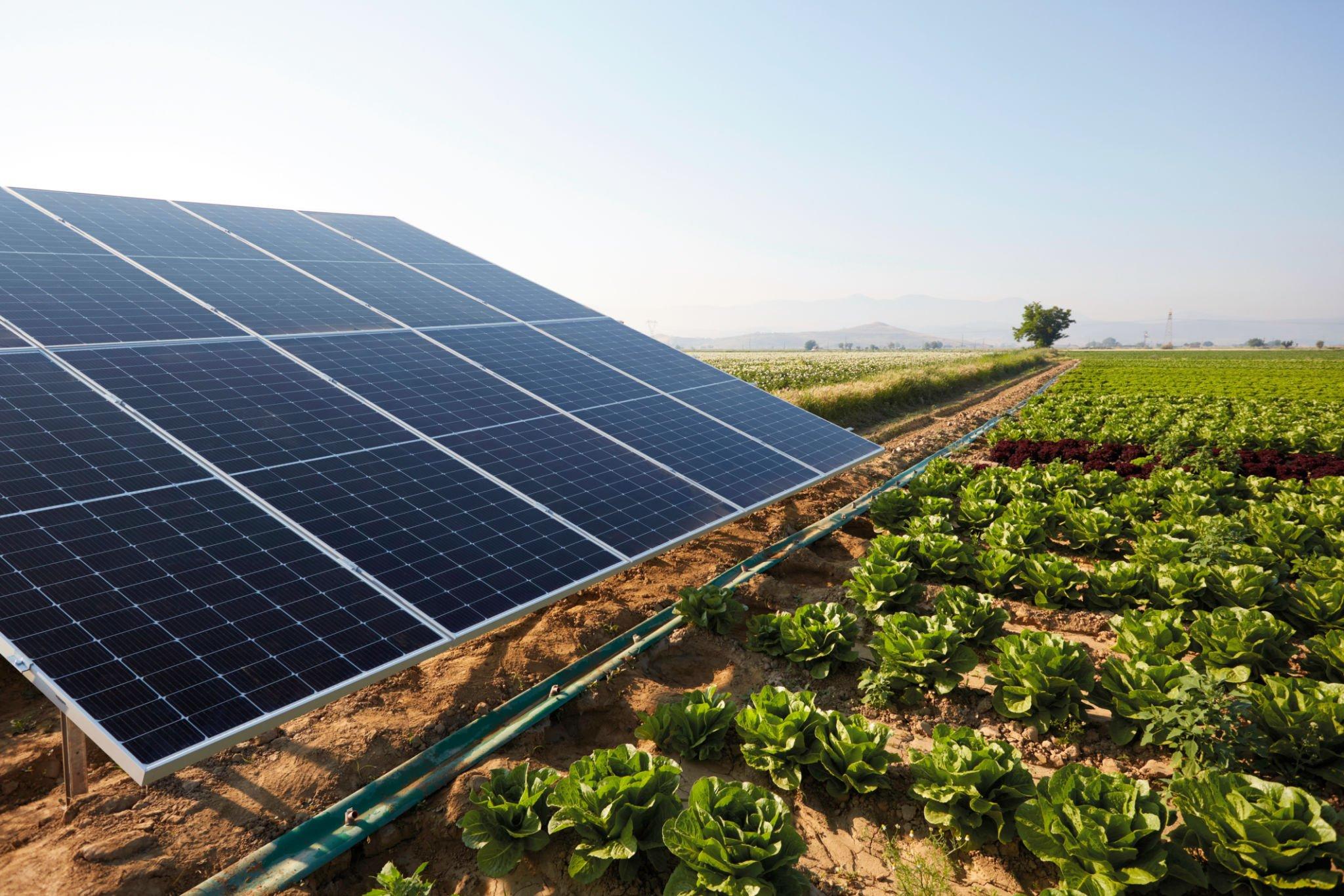 Les avantages du photovoltaïque à Bordeaux