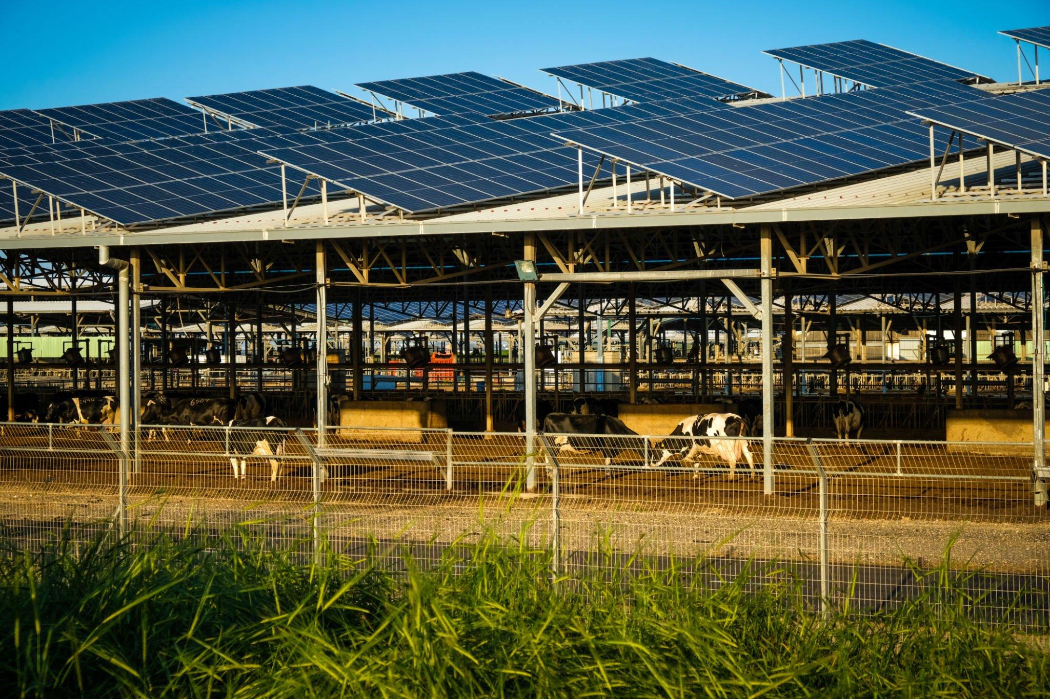 énergie solaire agriculture